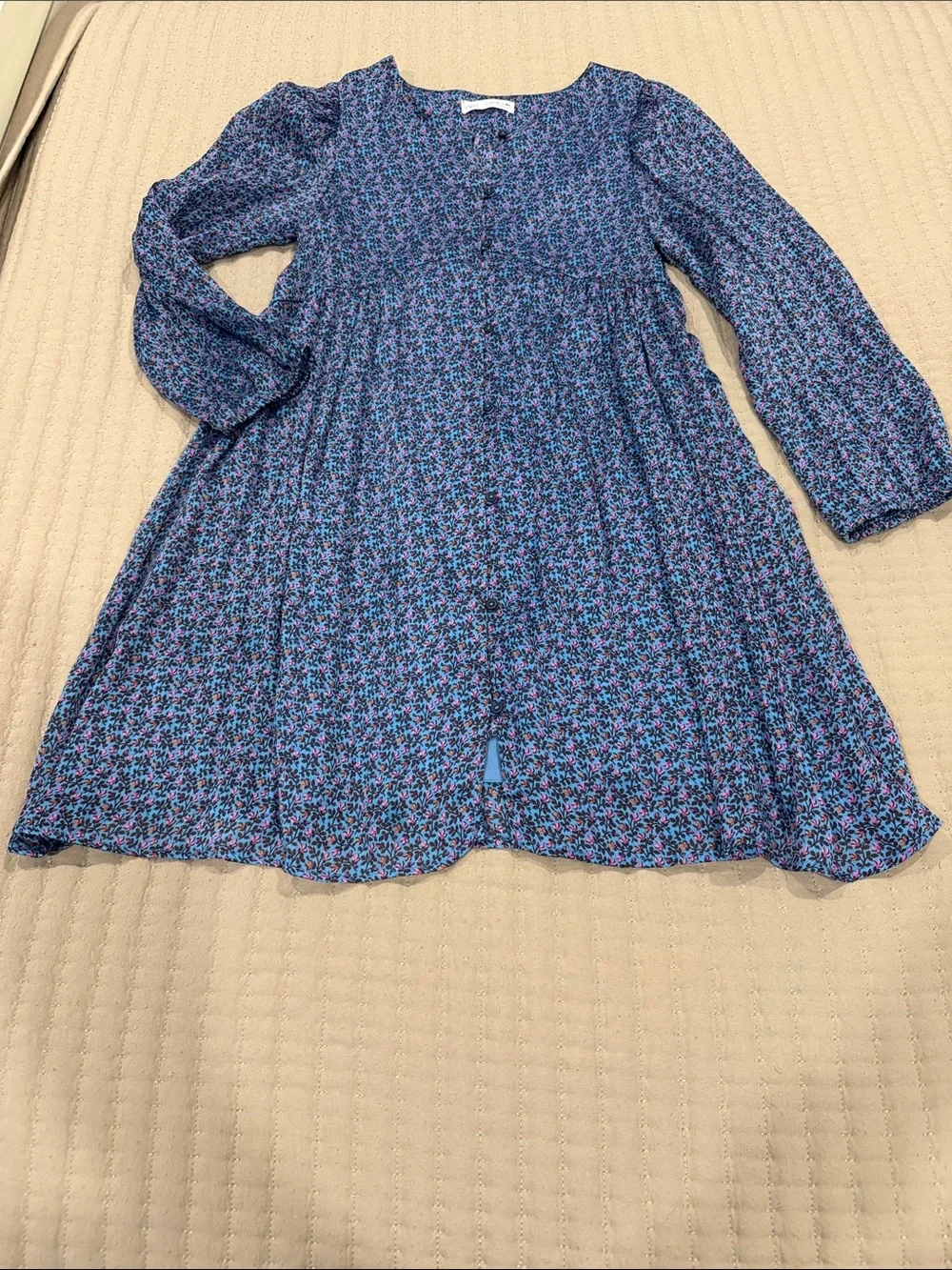 Zara Blue Floral Long-Sleeve Smocked Dress